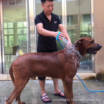 A17 mascota perro aseo herramienta portátil mascota perro ducha mascota ducha rociador